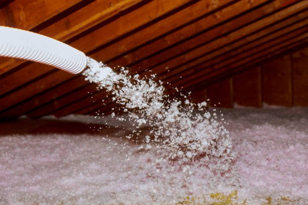 Best Insulation Maintenance and Repair in Saline, MI