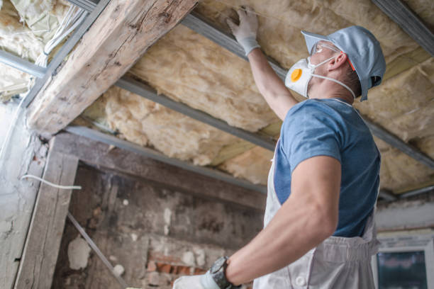 Best Insulation Installation Services in Saline, MI