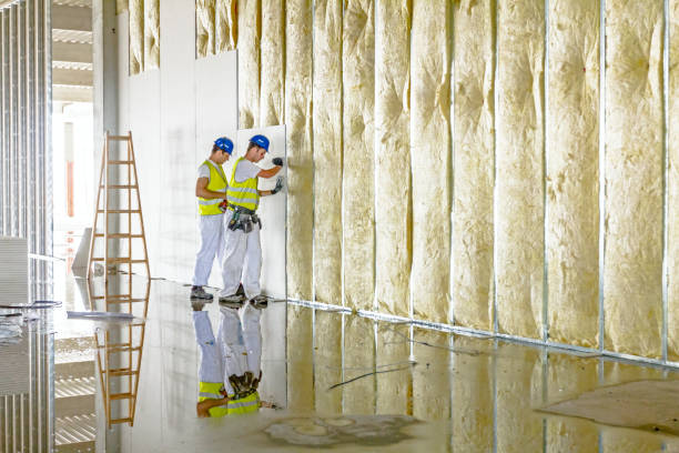 Best Types of Insulation in Saline, MI